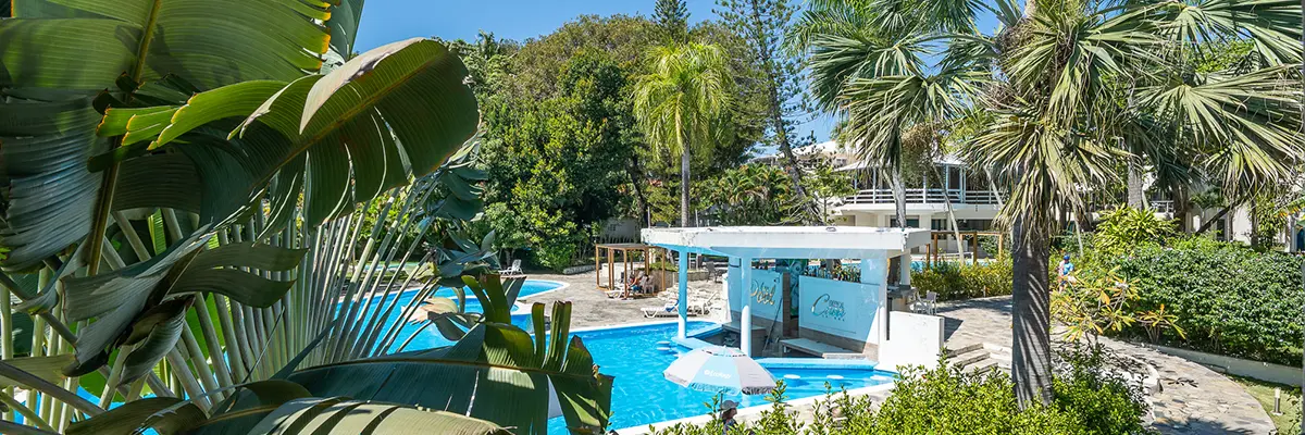 In the Heart of Cabarete